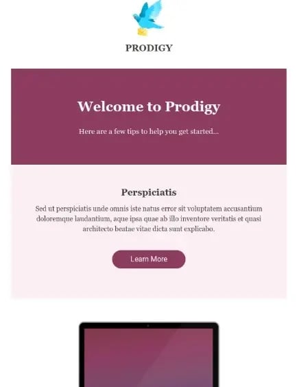 Prodigy-hubspot-email-template