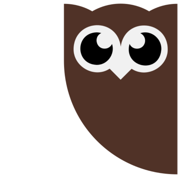 hootsuite-logo-favicon