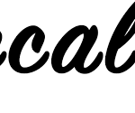 Loccality Logo