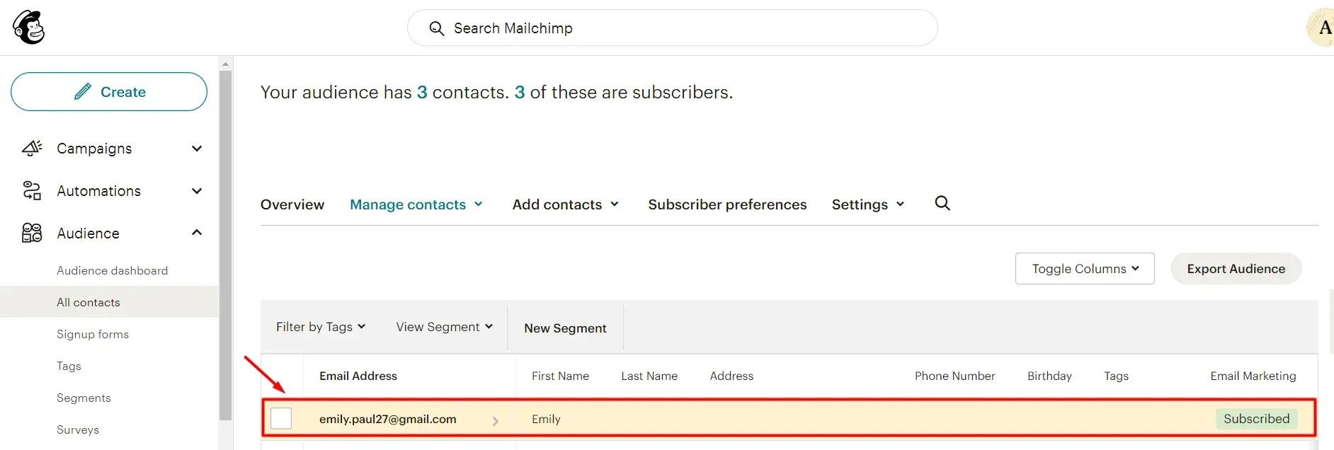 new-subscriber-contact-in-mailchimp