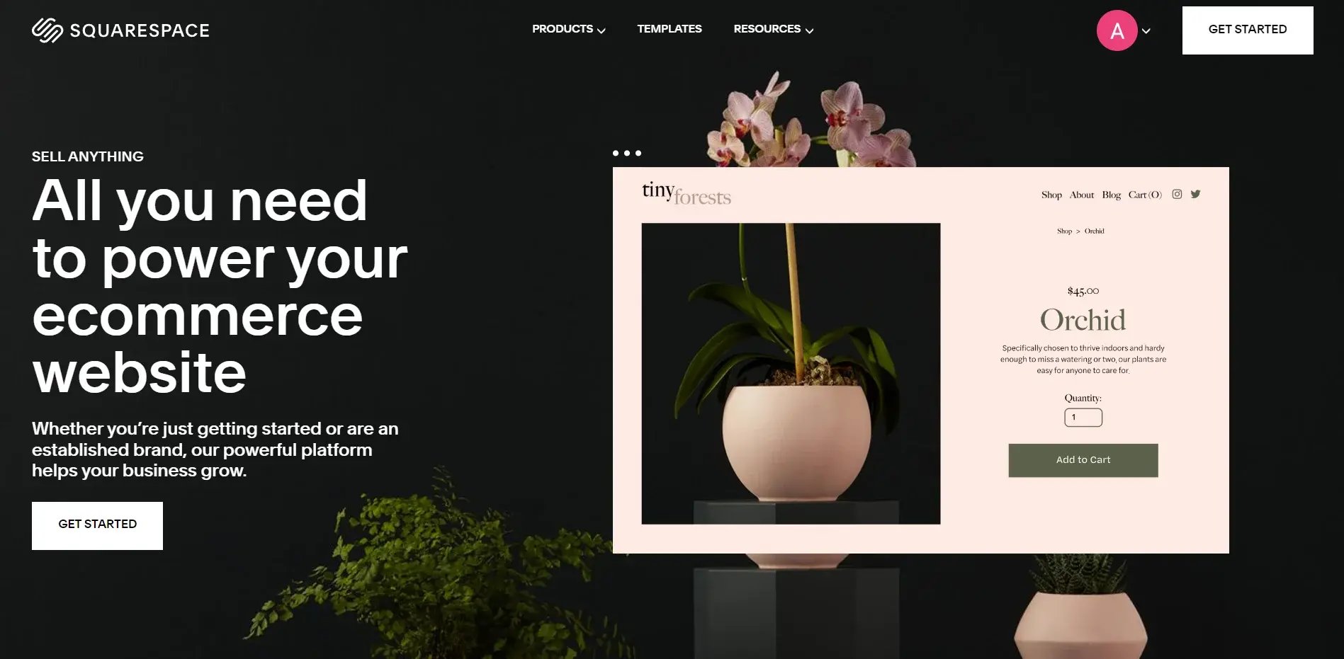 squarespace-ecommerce-website-builder