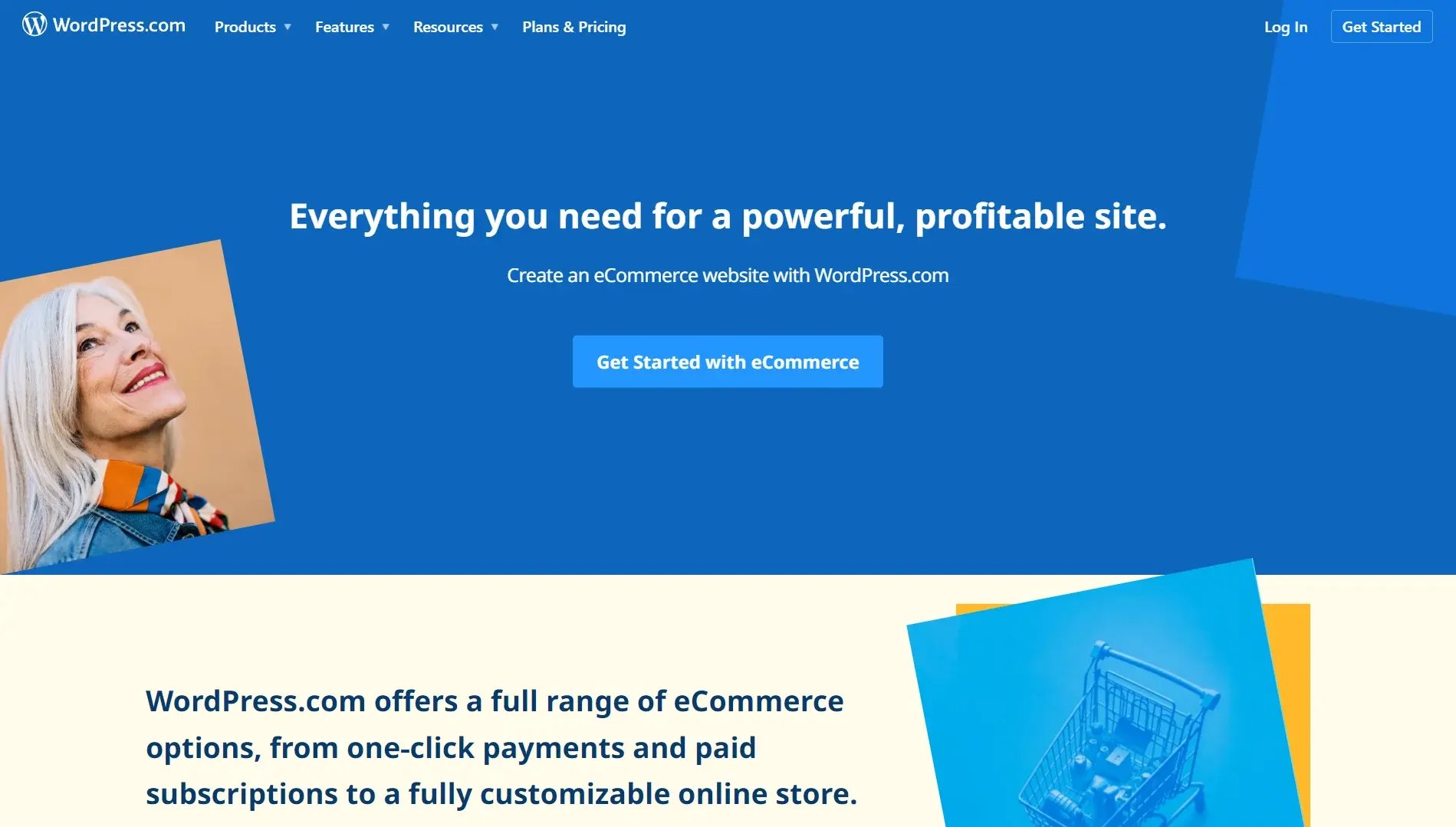 wordpress-ecommerce