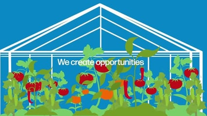 Launch Testimonial Video | Thanet Earth