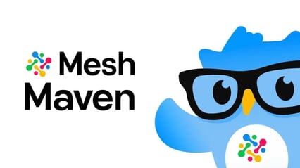 Professional Explainer | Mesh Maven
