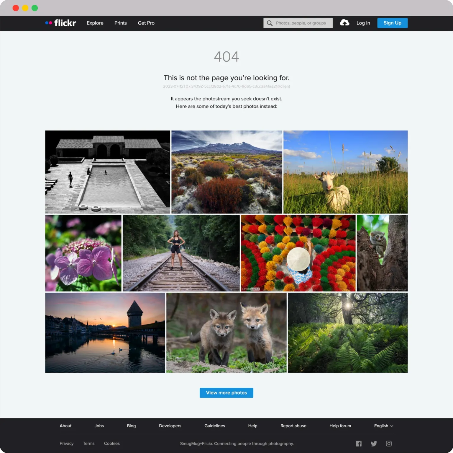Flickr error page examples 1536x1534 1