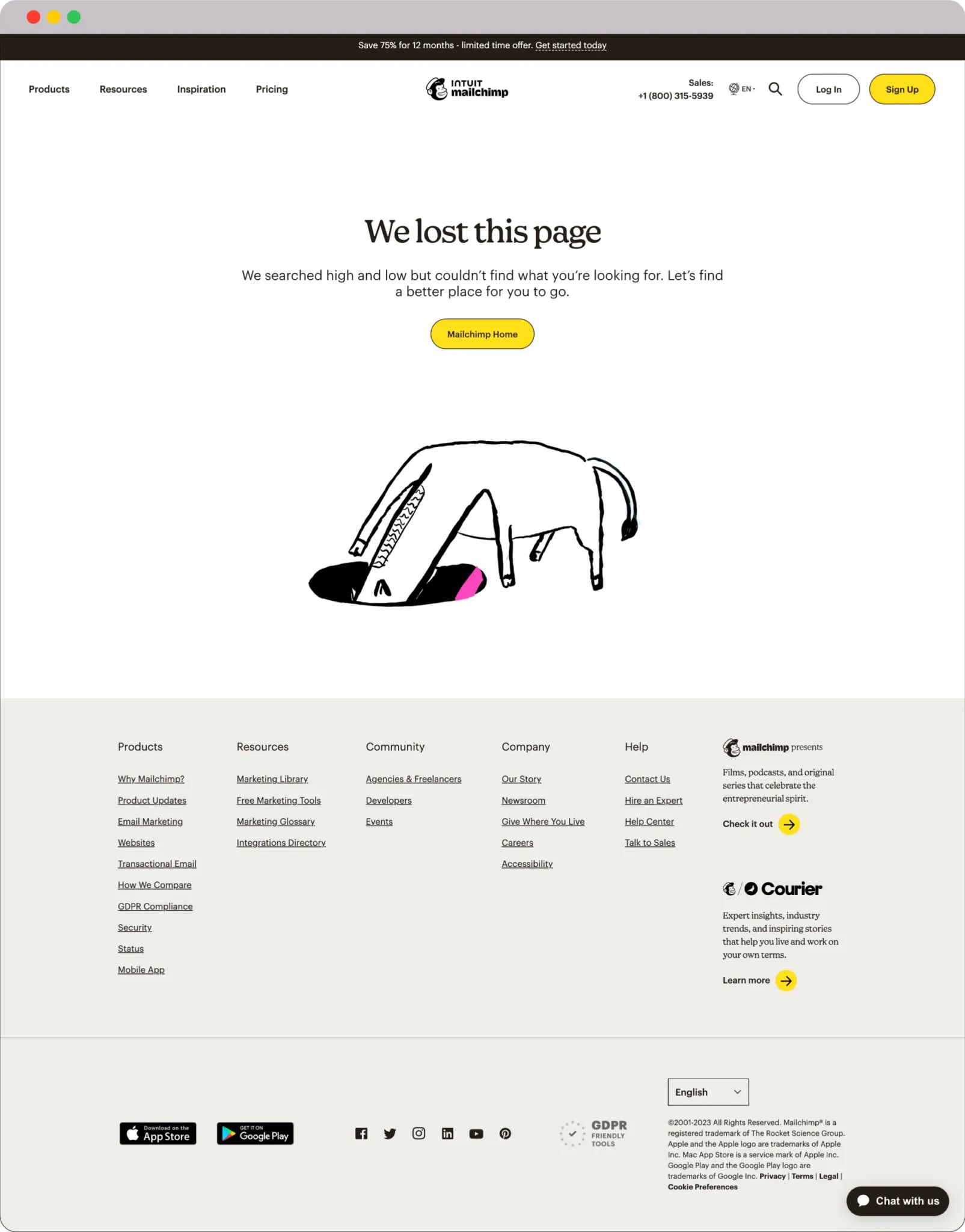 Mailchimp error page example 1605x2048 1